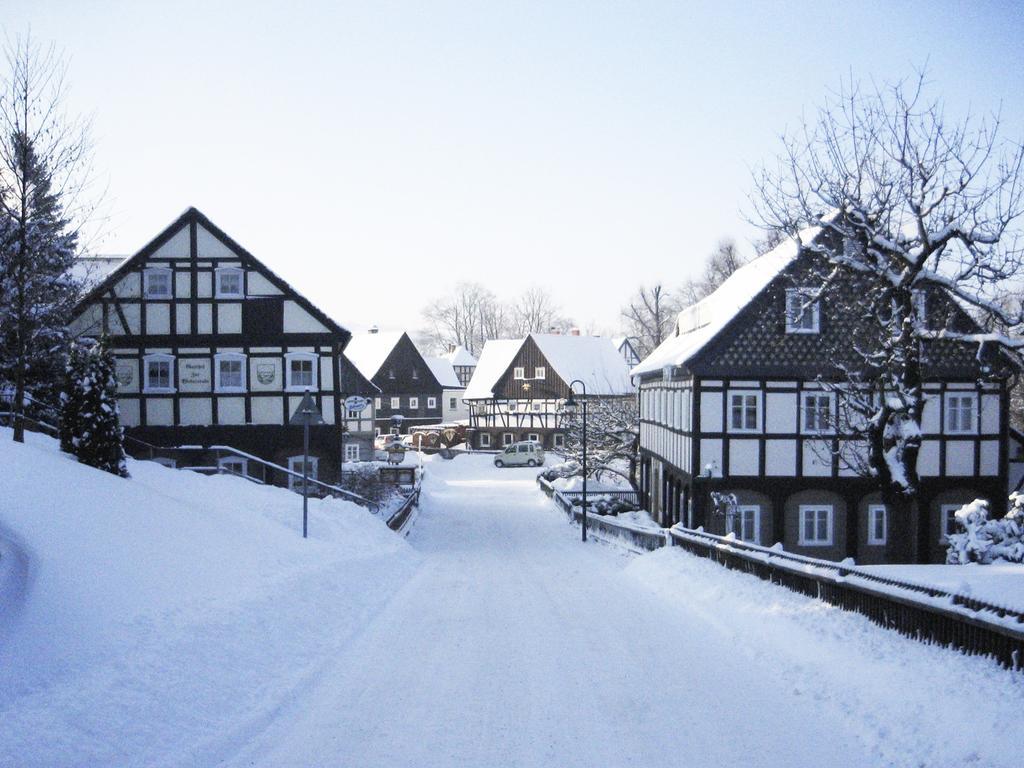 Goldberghaus Apartment Grossschoenau Luaran gambar